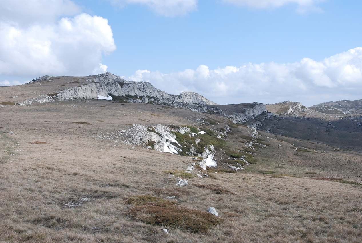 Чатырдаг (верхнее плато), image of landscape/habitat.