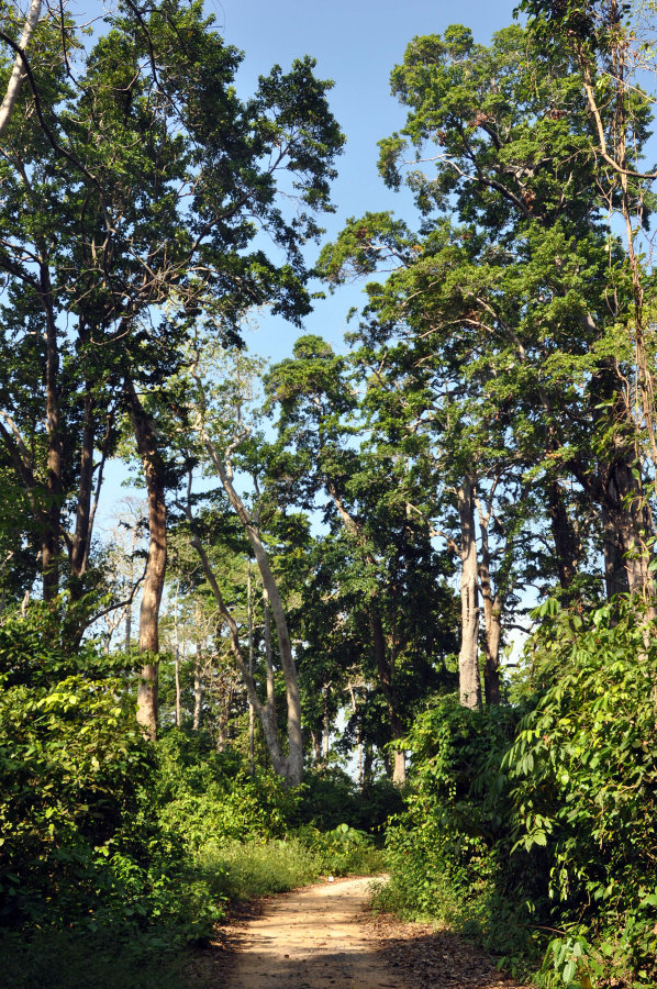 Остров Нил, image of landscape/habitat.
