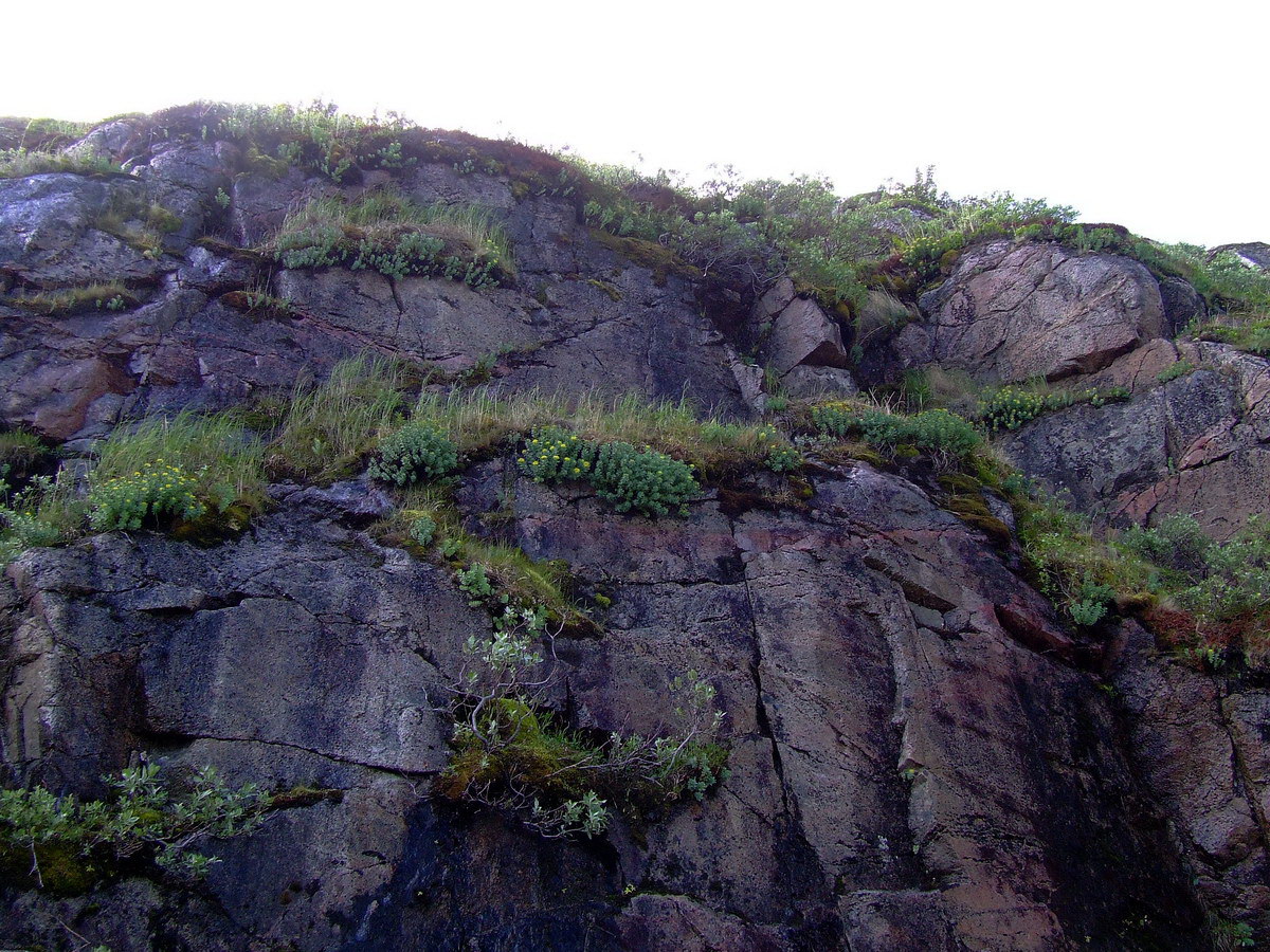 Устье Столбового ручья, image of landscape/habitat.