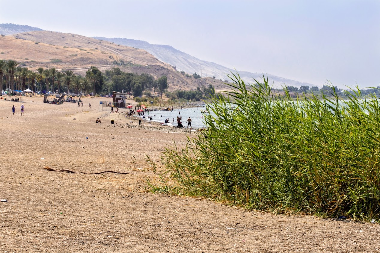 Генисаретское озеро (Кинерет), image of landscape/habitat.