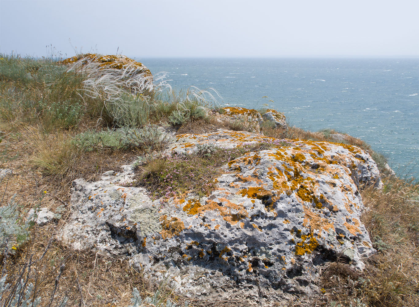 Казантип, image of landscape/habitat.