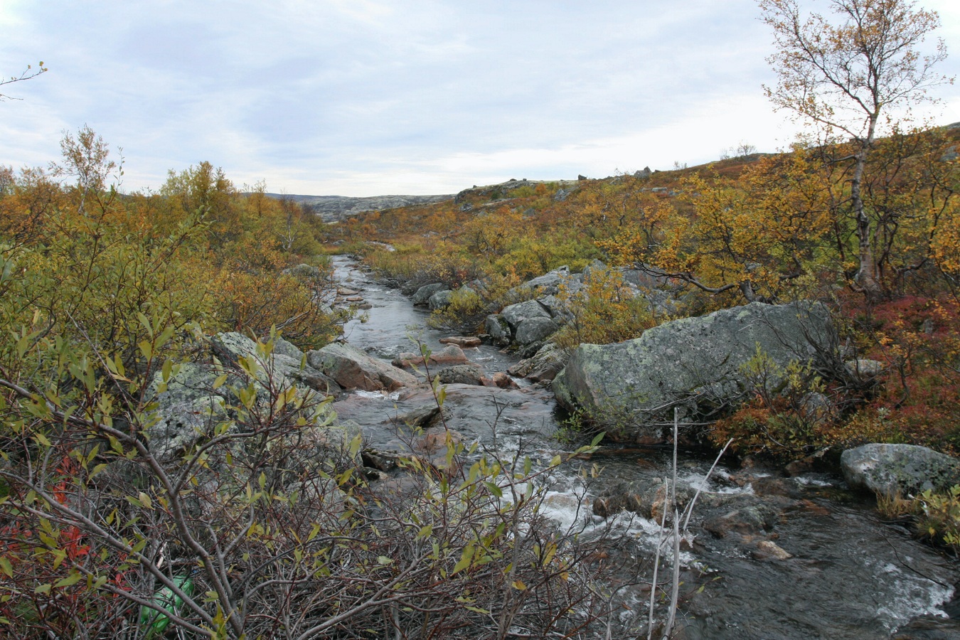 Тундра у Печенгской дороги, image of landscape/habitat.