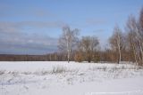 Окрестности деревни Чёлохово, image of landscape/habitat.