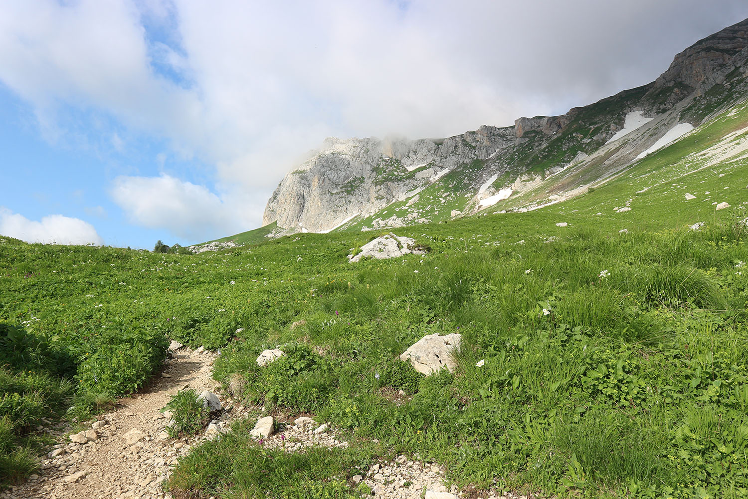 Гузерипльский перевал, image of landscape/habitat.