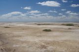 Эльтон, image of landscape/habitat.