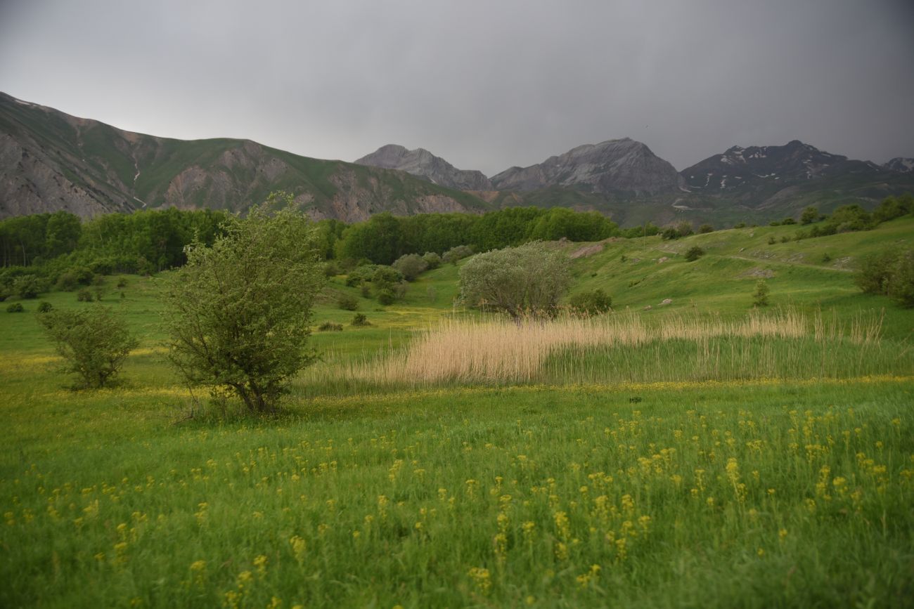 Кучанис, изображение ландшафта.