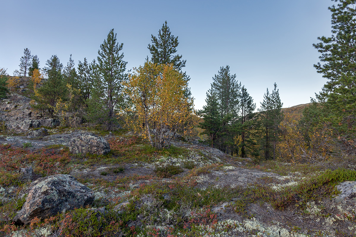 Река Ура, image of landscape/habitat.