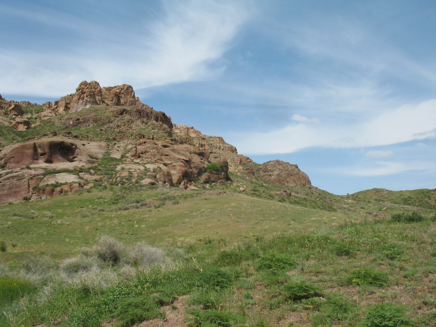 Перевал Архарлы, image of landscape/habitat.