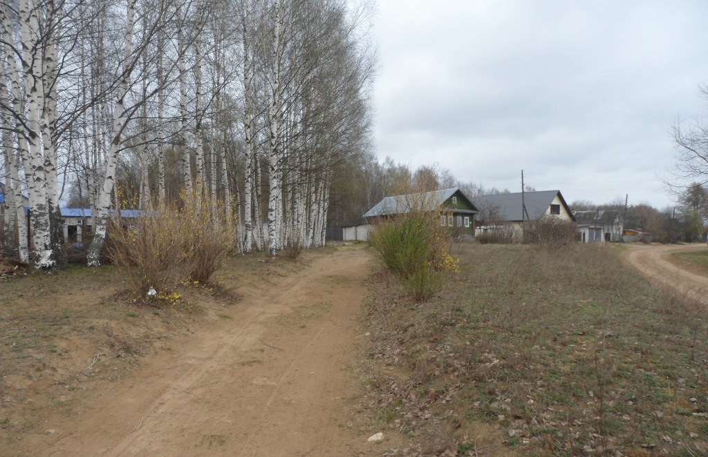 Весьегонск, image of landscape/habitat.