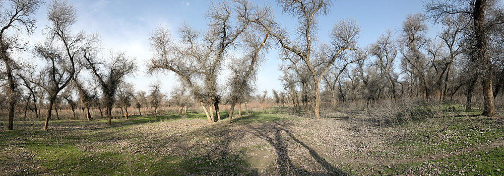 Окрестности Сюткента, image of landscape/habitat.