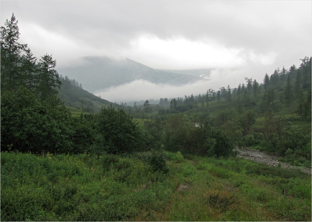 Кемьрезьрузь, image of landscape/habitat.