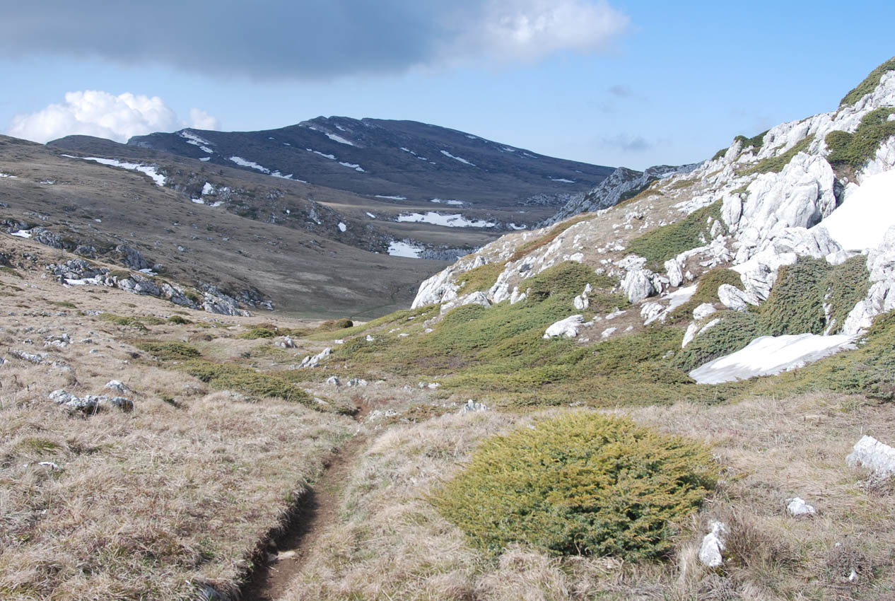 Чатырдаг (верхнее плато), image of landscape/habitat.