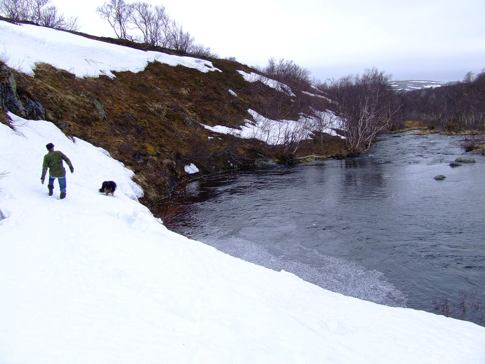 Туманный, image of landscape/habitat.