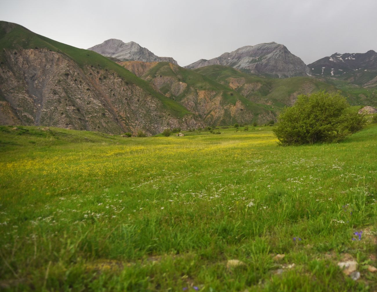 Кучанис, изображение ландшафта.