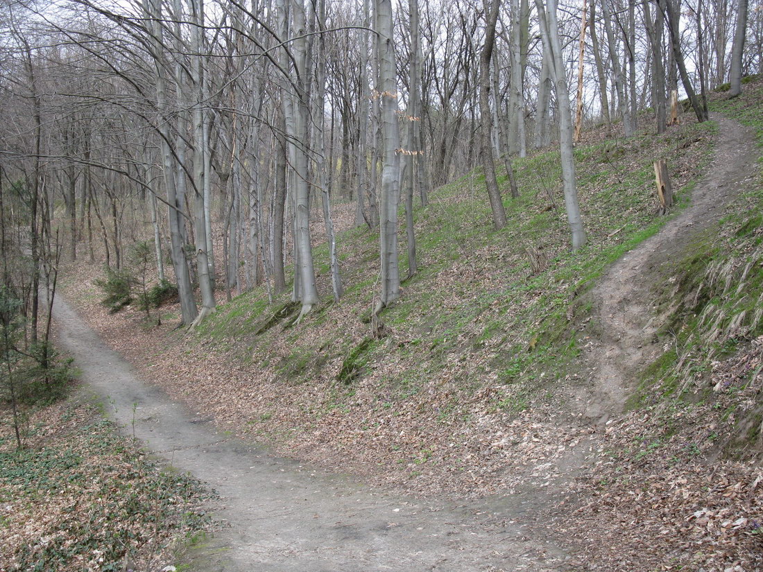 Ботсад им. Гришко, image of landscape/habitat.