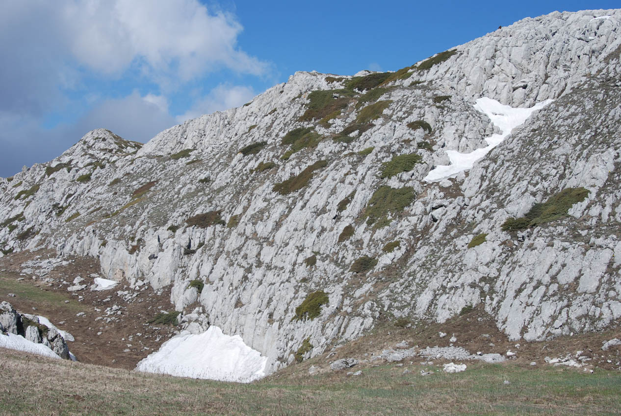 Чатырдаг (верхнее плато), image of landscape/habitat.