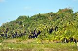 Image of landscape
