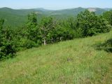 Image of landscape