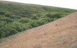 Image of landscape