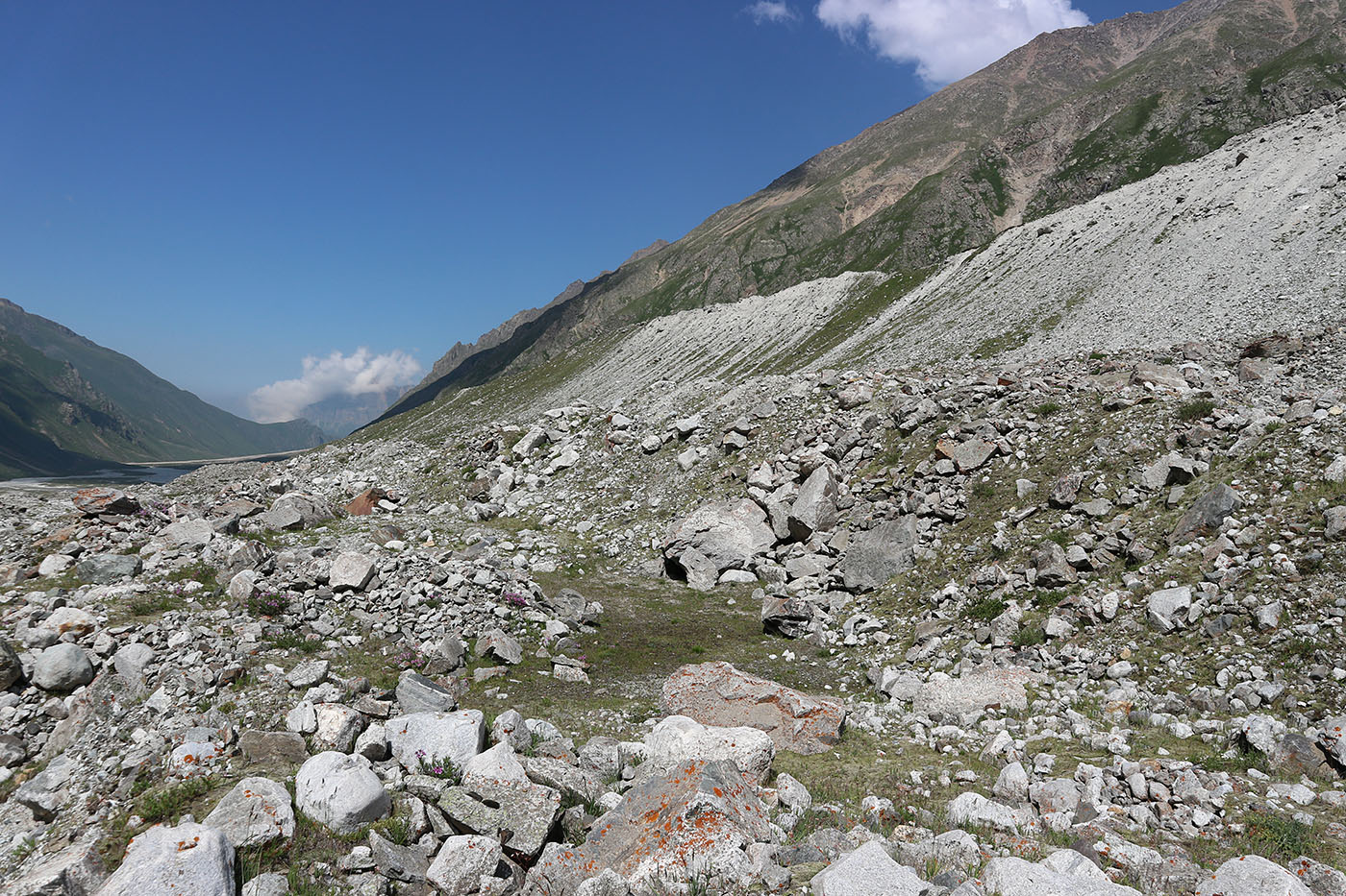 Ледник Нахашбита (Псыгансу), image of landscape/habitat.