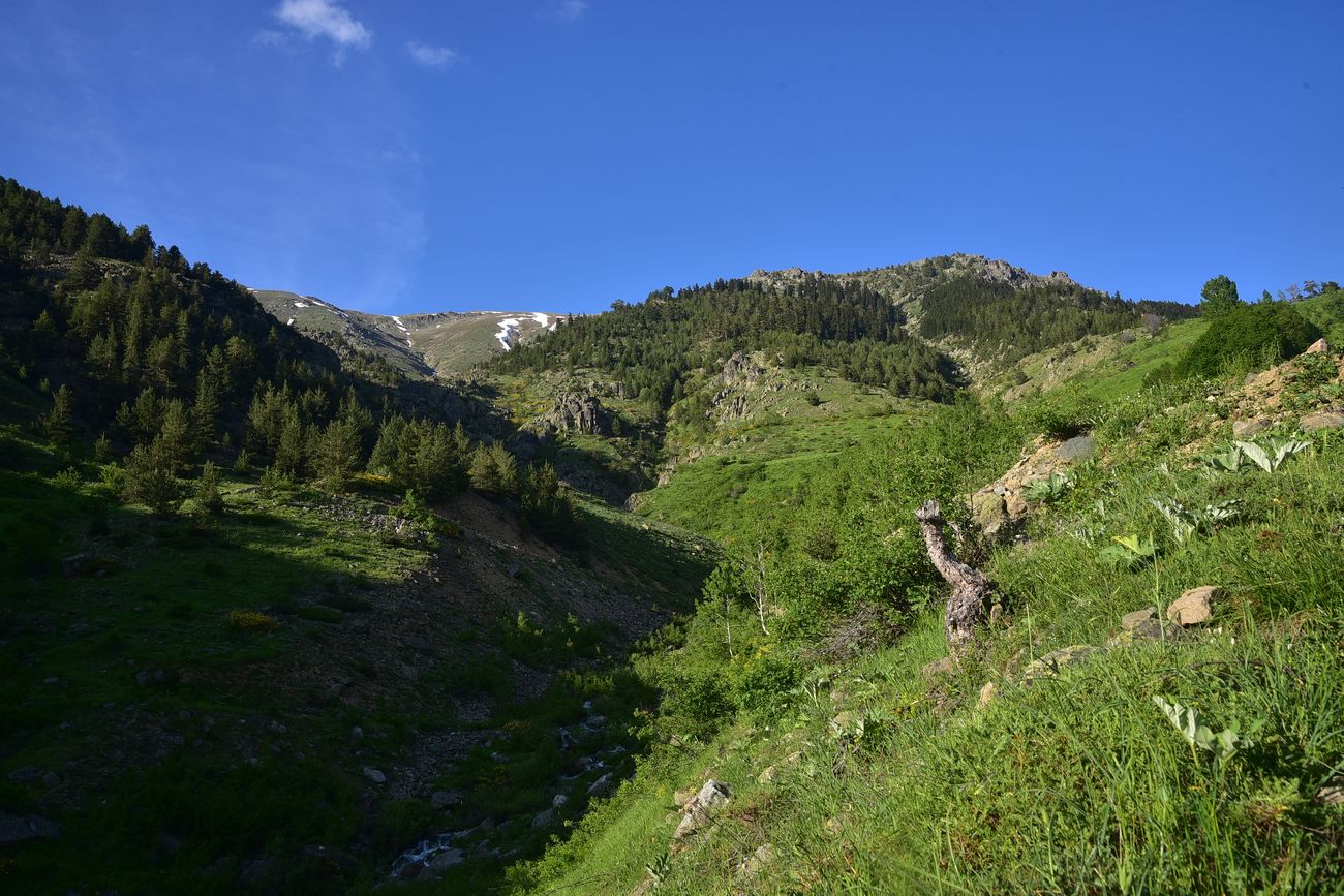 Дамлаташ, image of landscape/habitat.