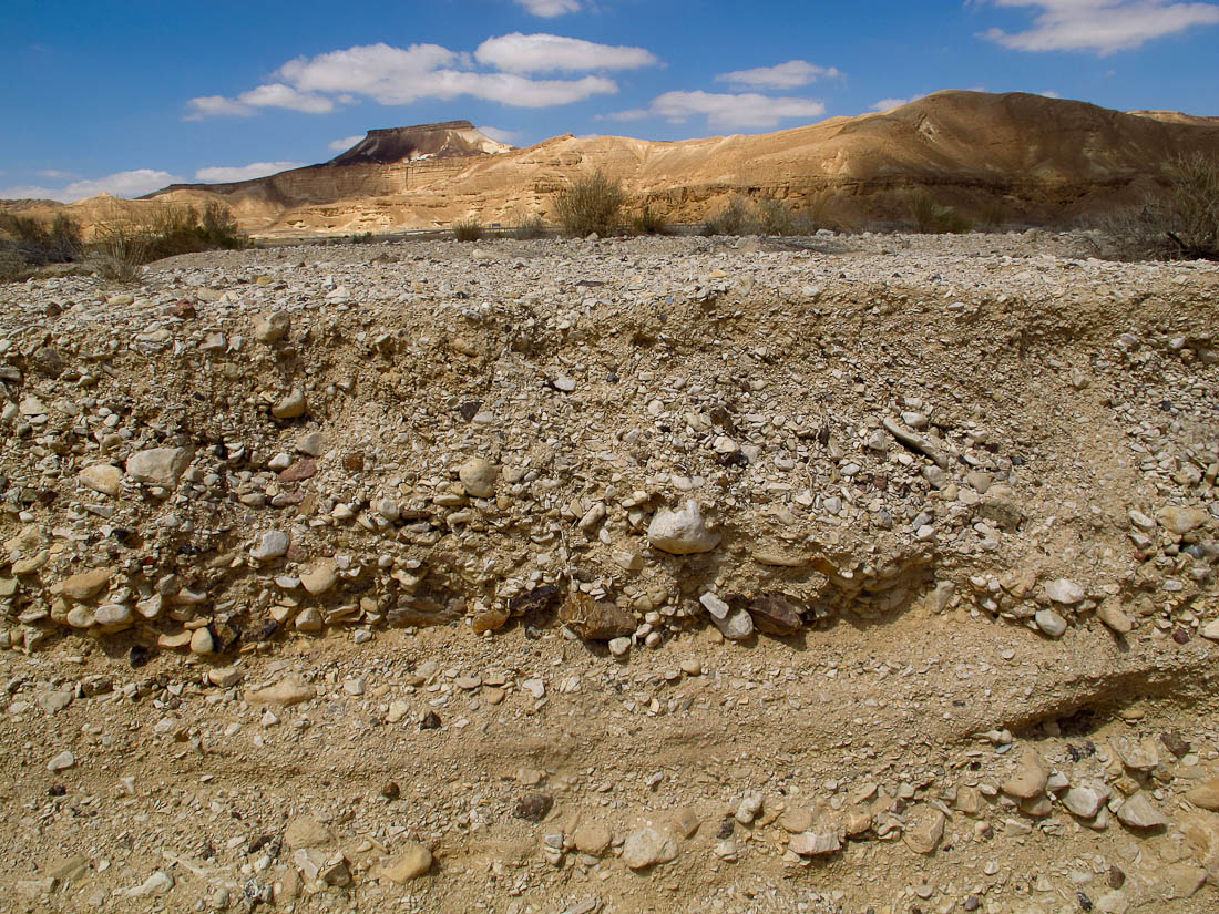 Негев, image of landscape/habitat.