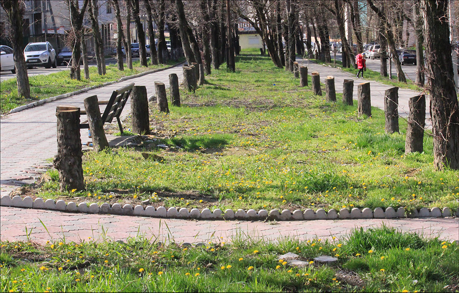 Новороссийск, image of landscape/habitat.