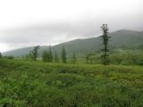 Кемьрезьрузь, изображение ландшафта.