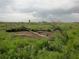 Image of landscape