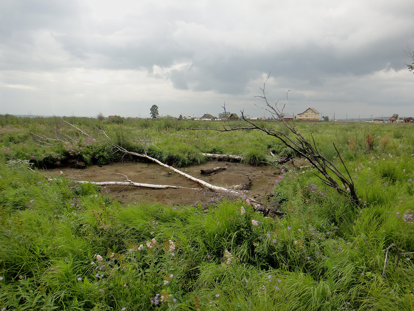 Позднякова, image of landscape/habitat.