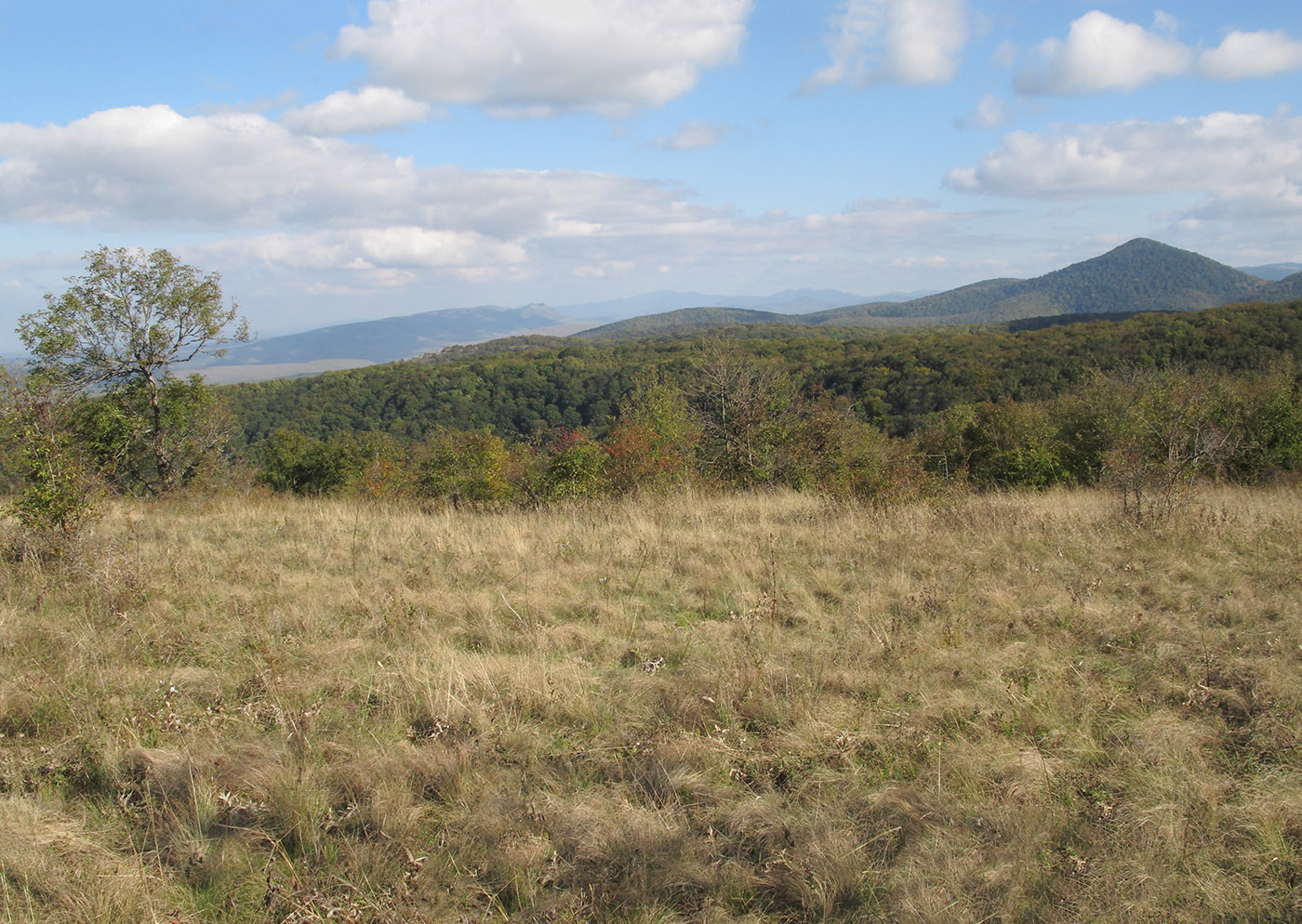 Гора Сагачёва, image of landscape/habitat.