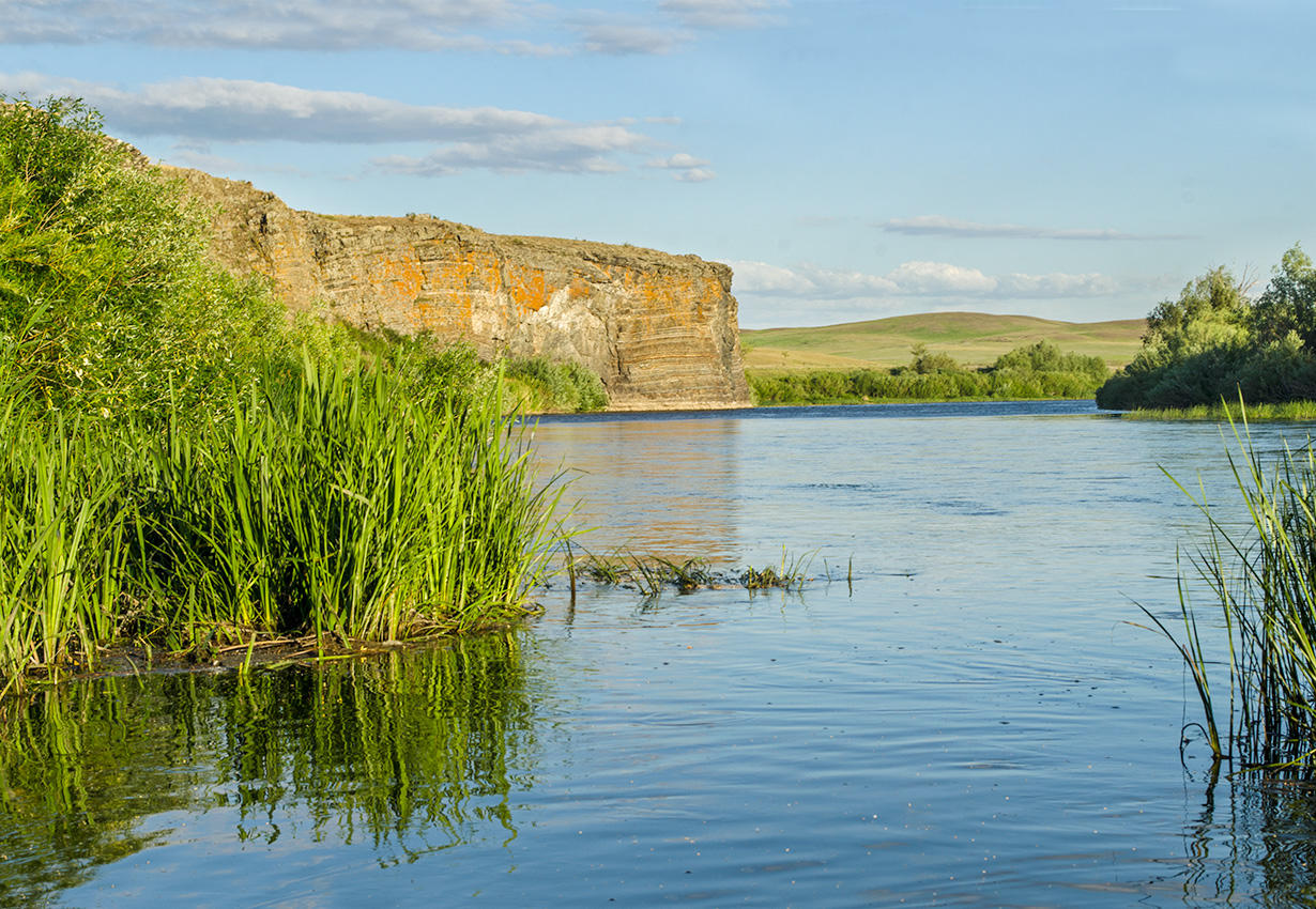 Ершовский, image of landscape/habitat.