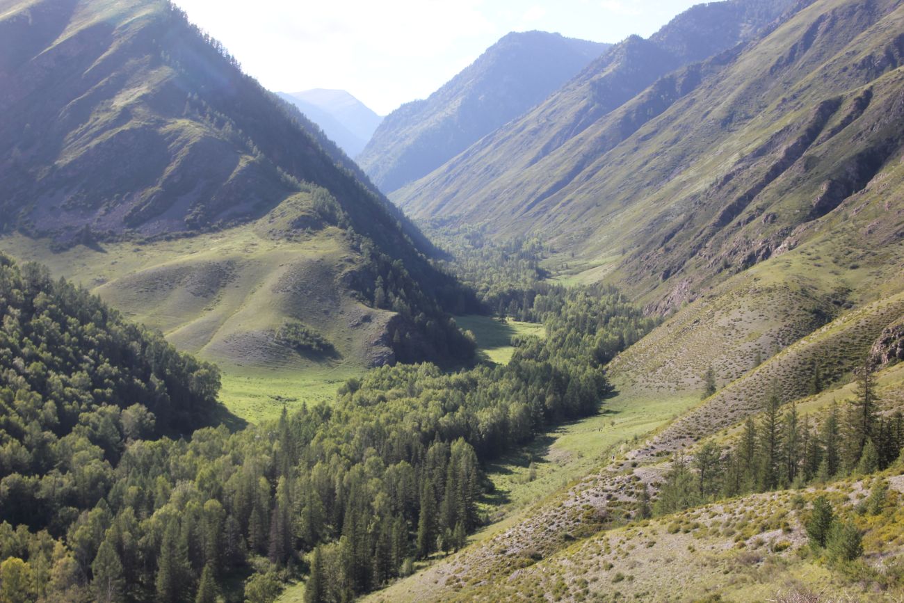 Окрестности реки Казнахта, image of landscape/habitat.