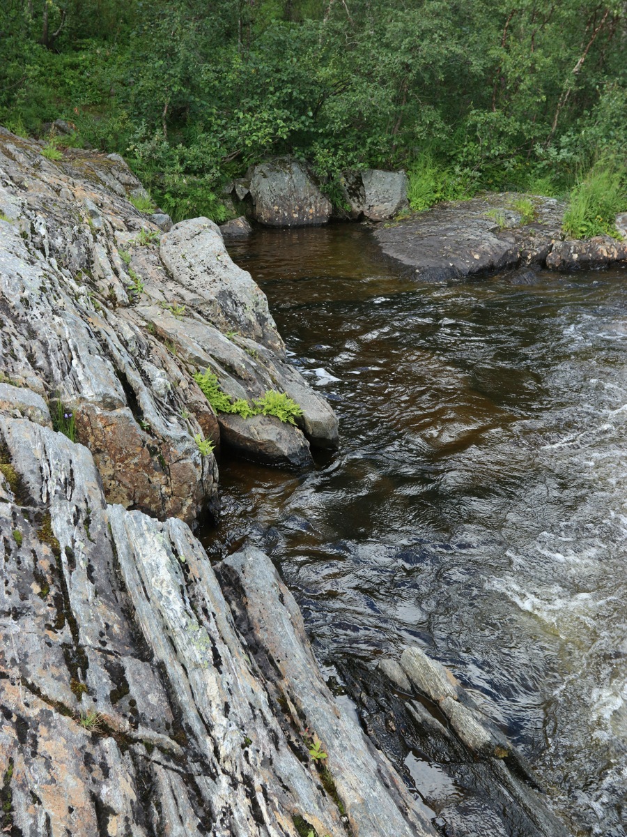 У падунов на Западной Лице, image of landscape/habitat.