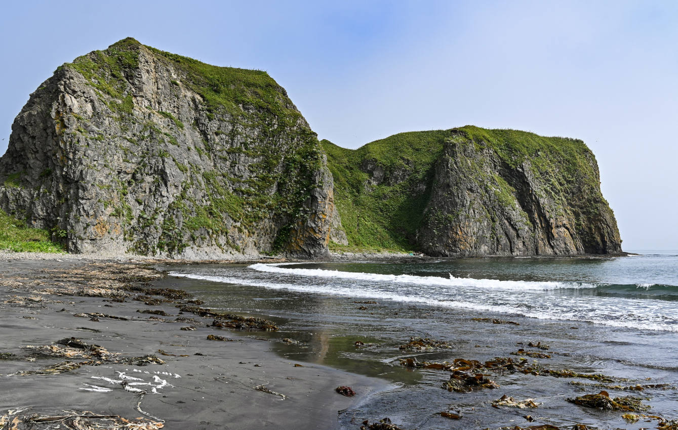 Мыс Сукачёва, image of landscape/habitat.