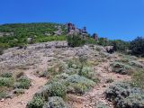 Image of landscape