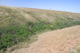 Image of landscape
