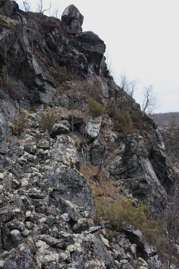 Могильный Ров, image of landscape/habitat.