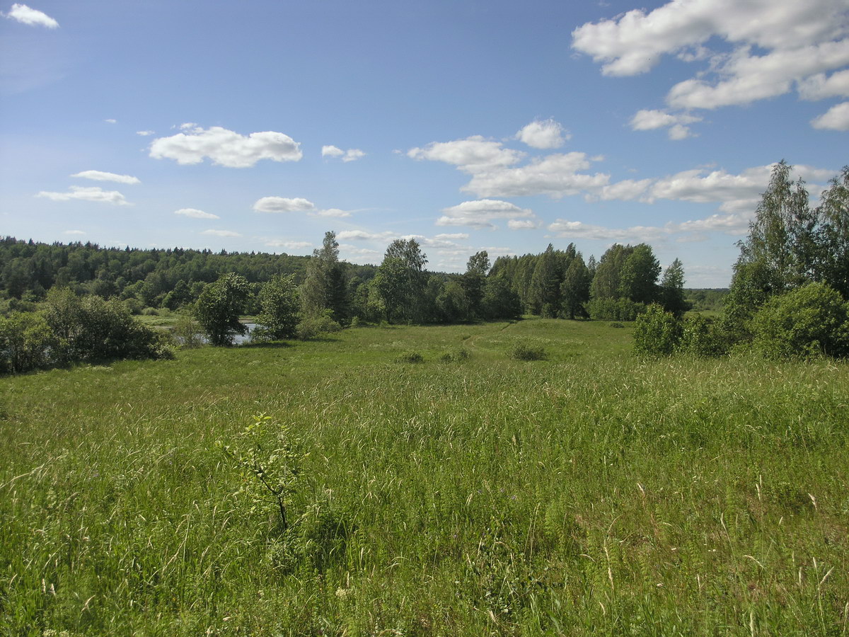 Луга у Кемки, изображение ландшафта.