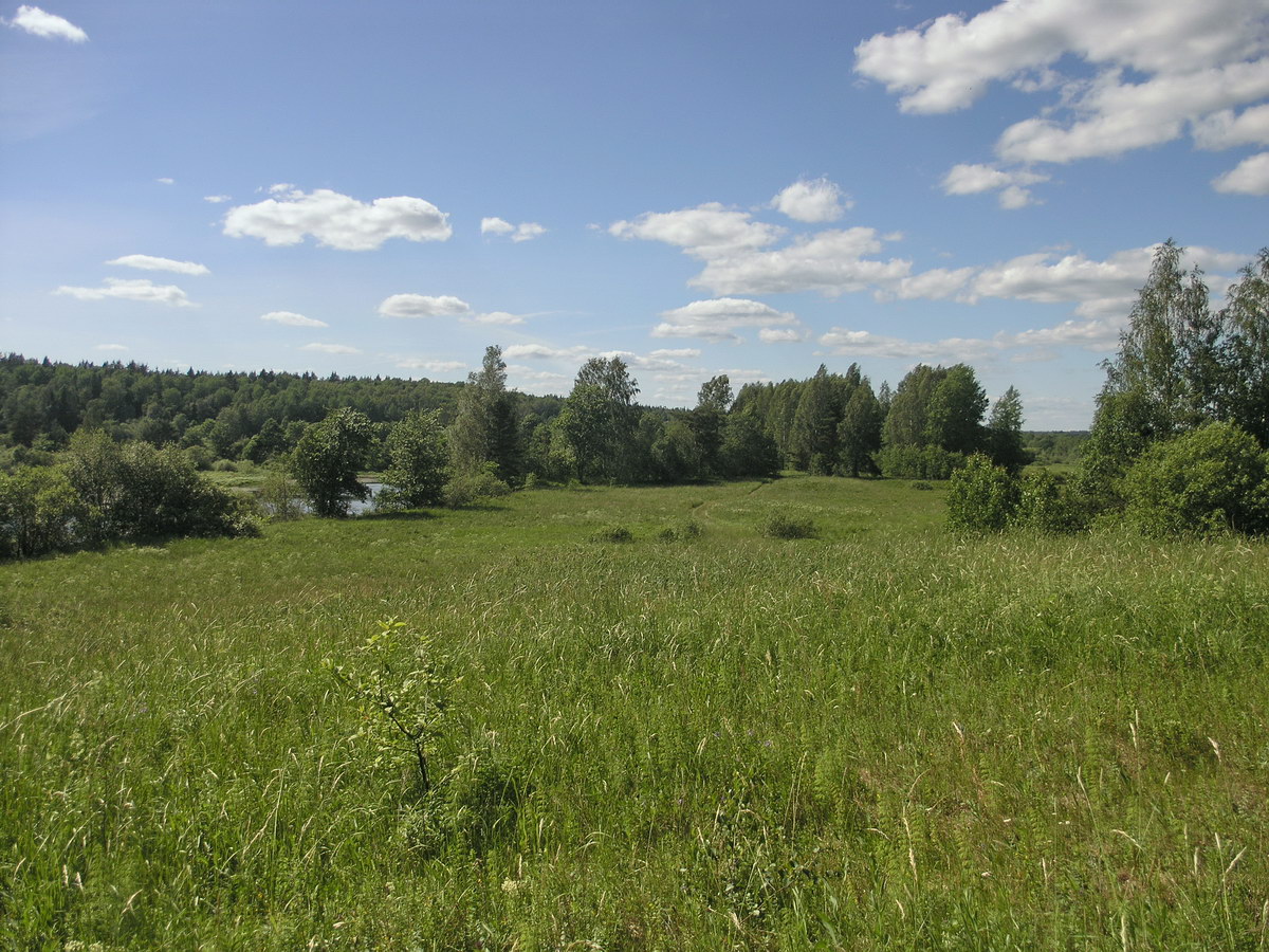 Окрестности Кемки, image of landscape/habitat.