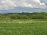 Image of landscape