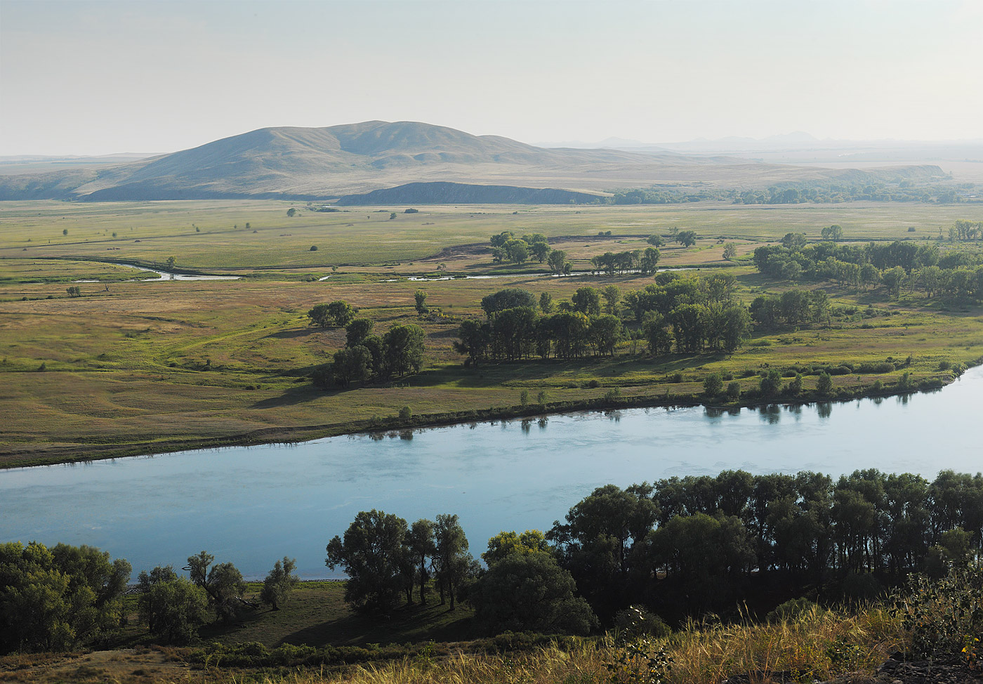 Окрестности села Кожохово, image of landscape/habitat.