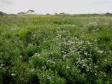 Image of landscape