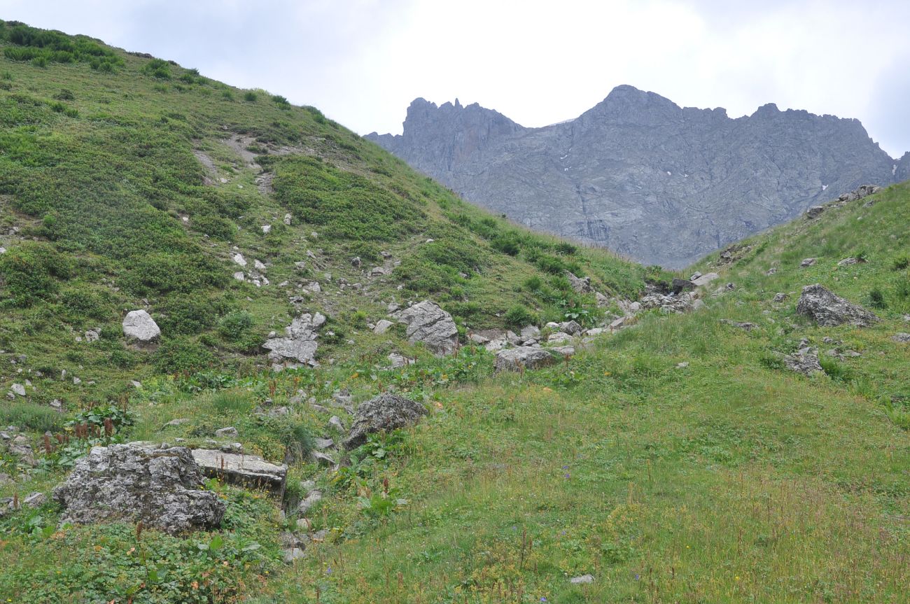 Долина реки Вулелаури, image of landscape/habitat.