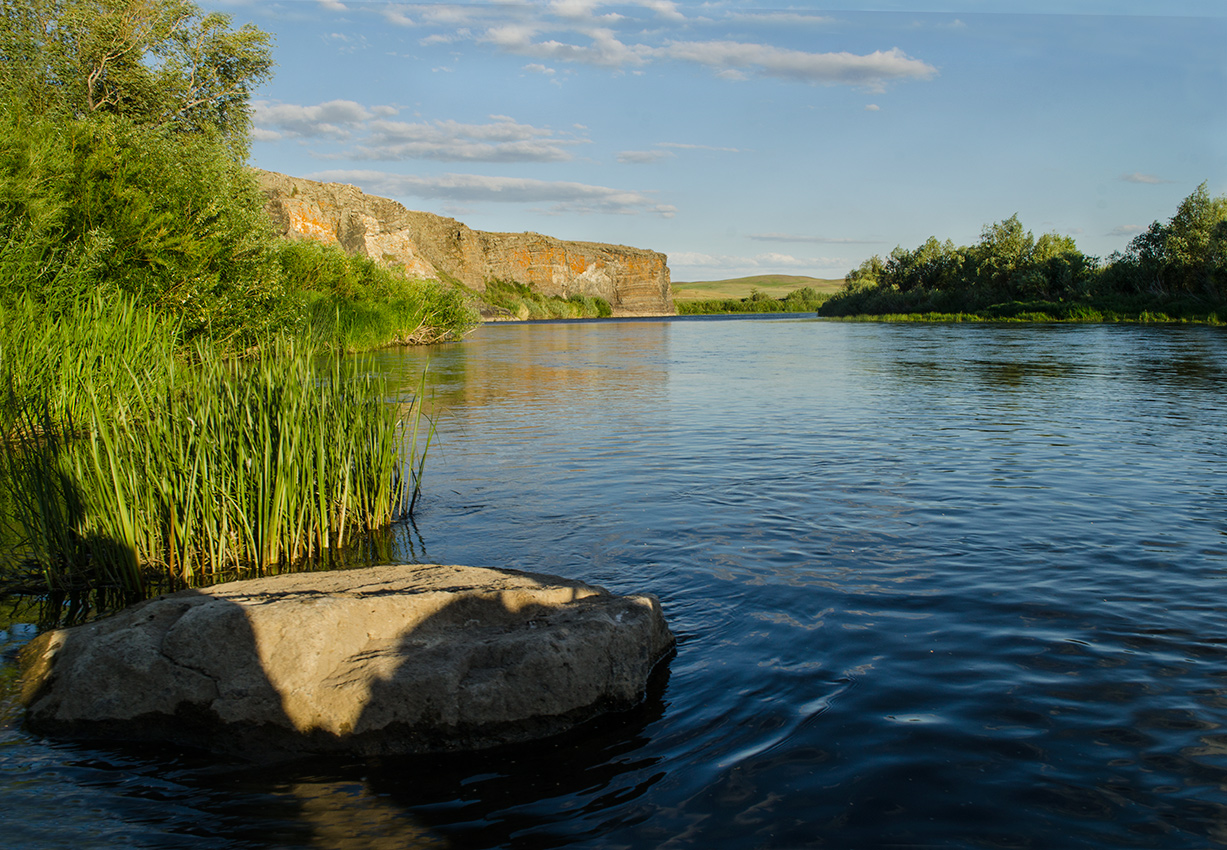 Ершовский, image of landscape/habitat.