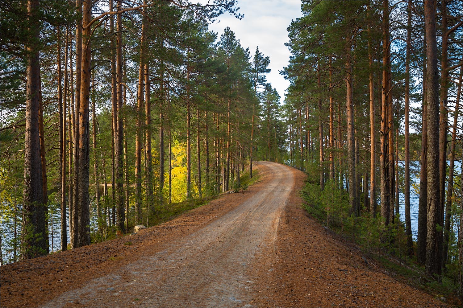 Толвоярви, image of landscape/habitat.