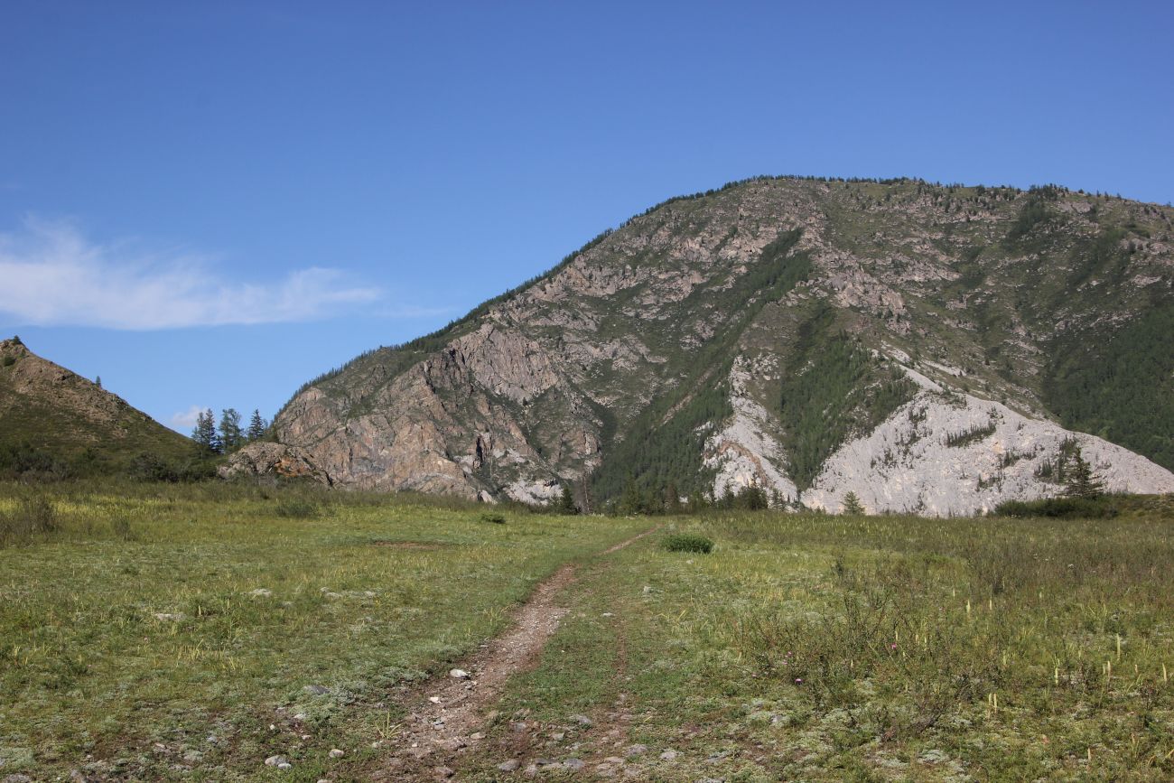 Окрестности реки Казнахта, изображение ландшафта.