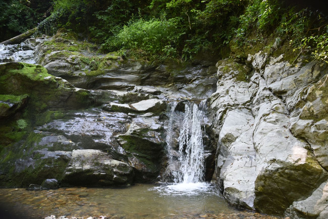 Долина ручья Сюк, image of landscape/habitat.