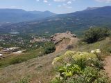Image of landscape