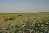 Image of landscape